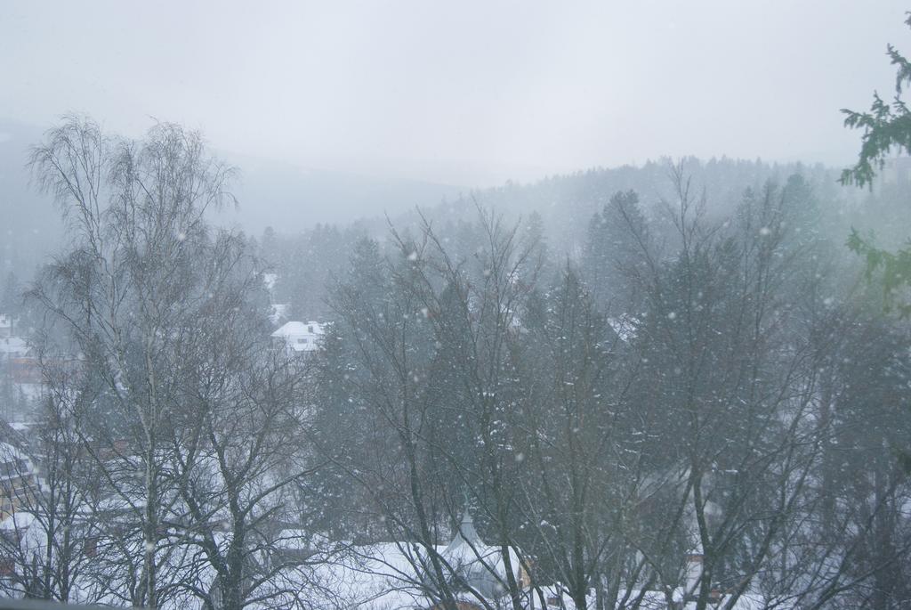 Villa Avangarda Sklářská Poruba Pokoj fotografie